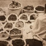 history of indian pickles, indian woman making pickles